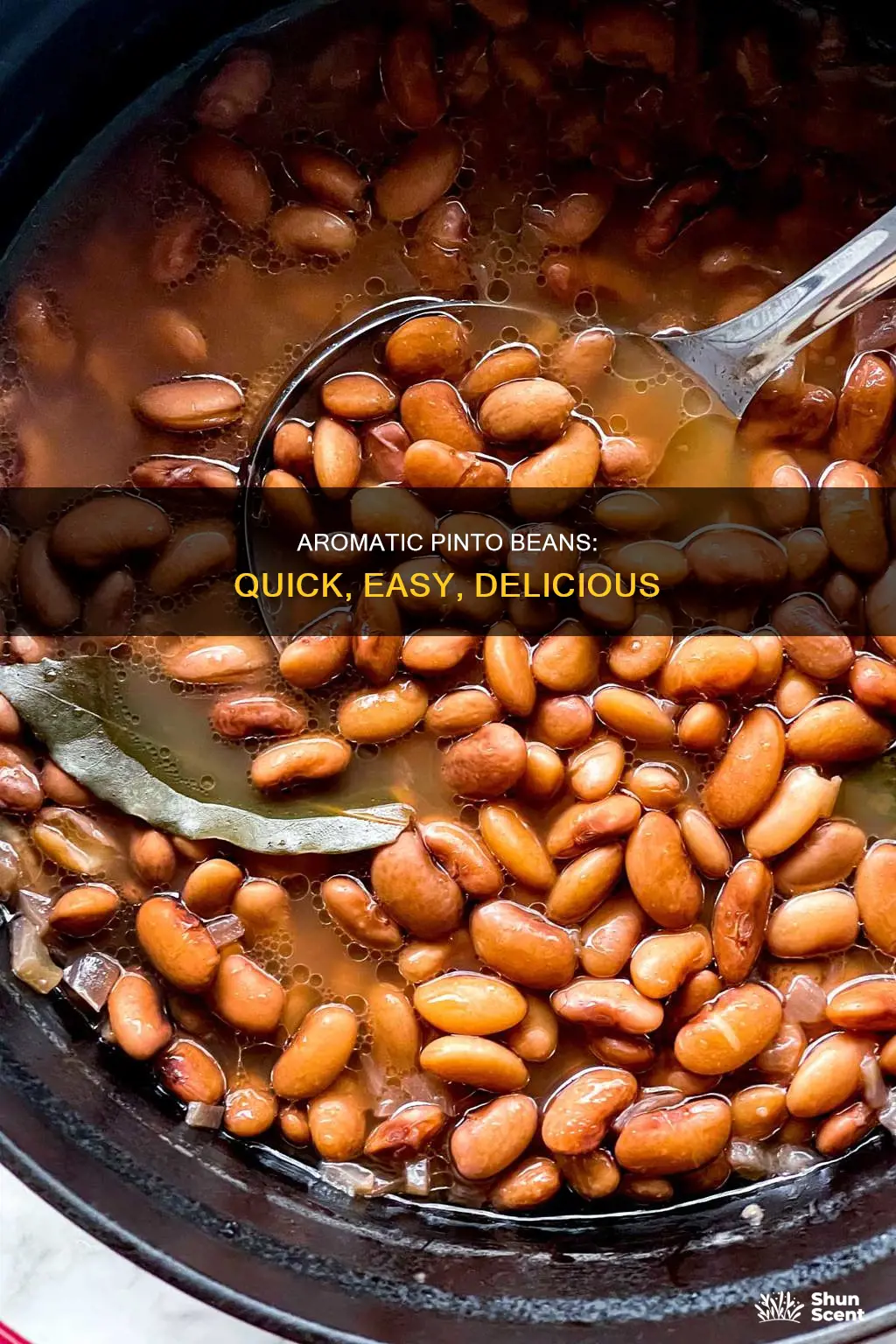 how to make pinto beans in an aroma