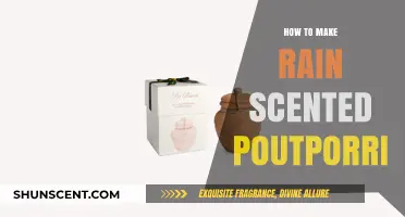 Crafting Rain-Scented Potpourri: A Fresh Aromatic DIY Guide