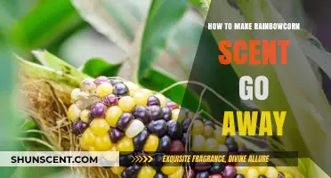 Eliminate Rainbowcorn Scent: Quick Tips to Freshen Your Space