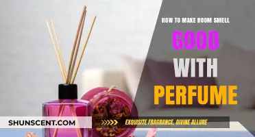 Perfume Hacks: Making Your Room Smell Divine