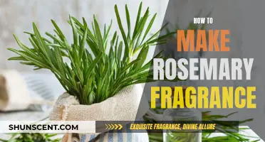 Rosemary's Scent: Crafting a Fragrant Rosemary Experience