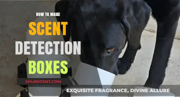 Crafting Scent Detection Boxes: A Step-by-Step DIY Guide