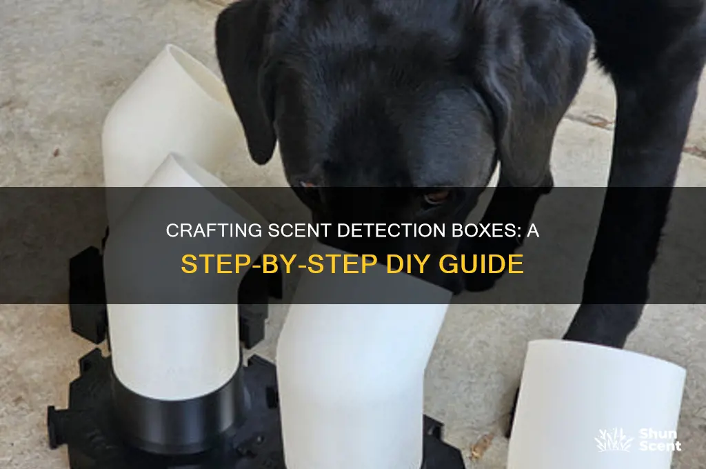 how to make scent detection boxes