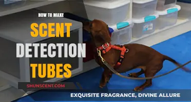 Crafting Scent Detection Tubes: A Step-by-Step DIY Guide