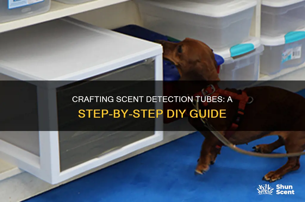 how to make scent detection tubes