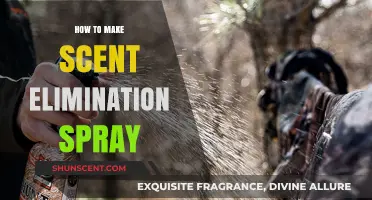 DIY Scent Elimination Spray: Master Odor Control for Outdoor Adventures