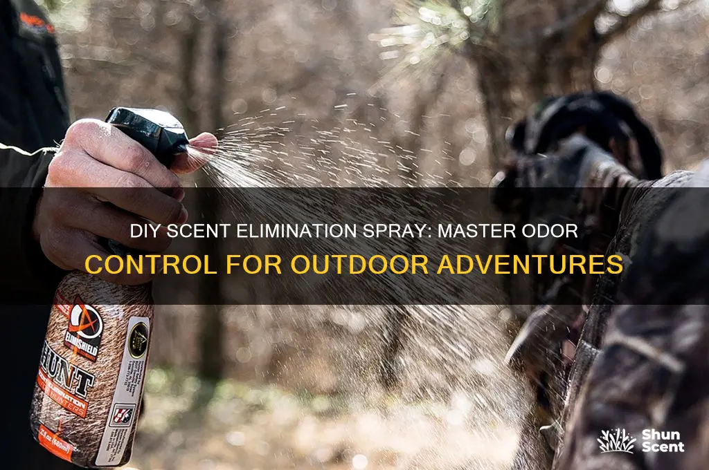 how to make scent elimination spray