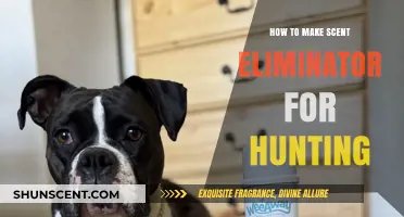 Effective DIY Scent Eliminator Recipes for Stealthy Hunting Success