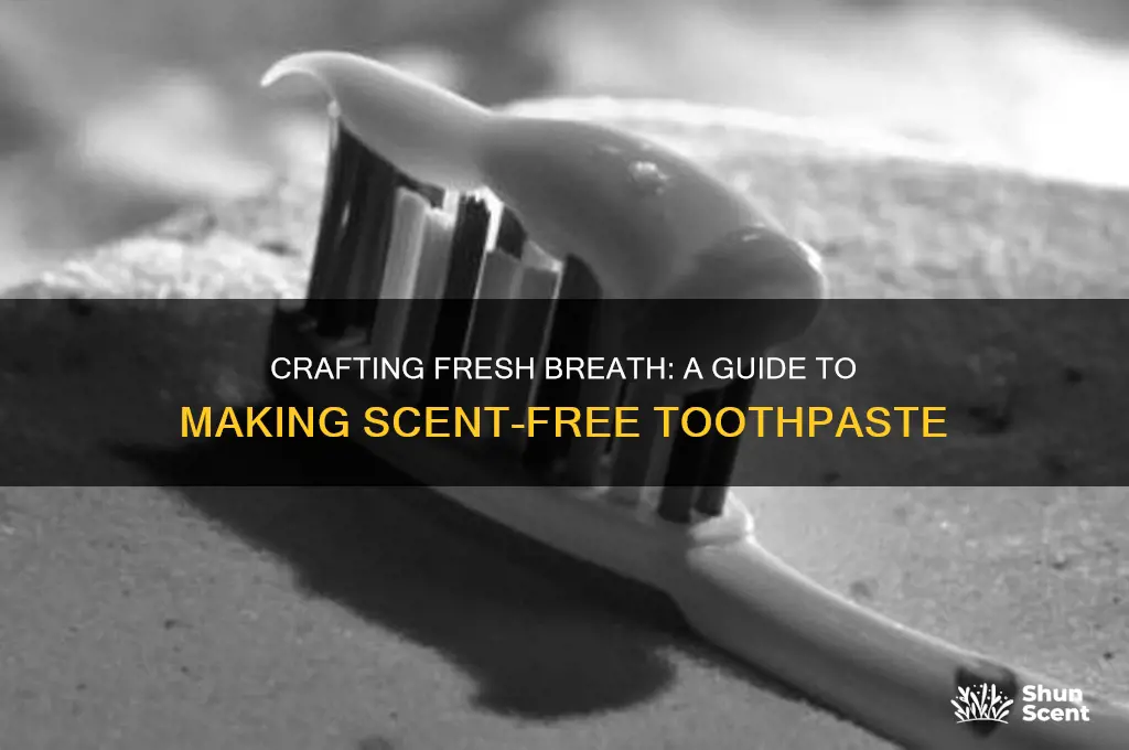 how to make scent free toothpaste
