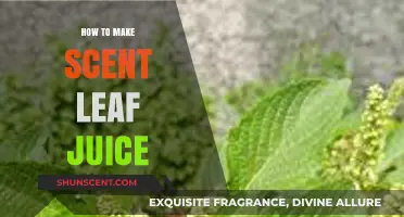 Refreshing Scent Leaf Juice Recipe: Simple Steps for a Healthy Drink