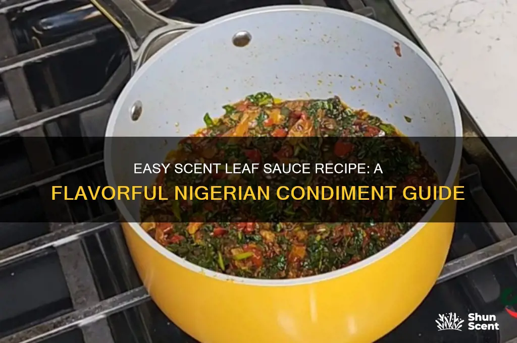 how to make scent leaf sauce