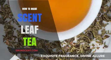 Brewing Scent Leaf Tea: Simple Steps for a Refreshing Herbal Infusion