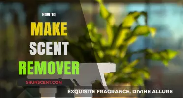 Effective DIY Scent Remover: Simple Steps to Eliminate Odors Fast