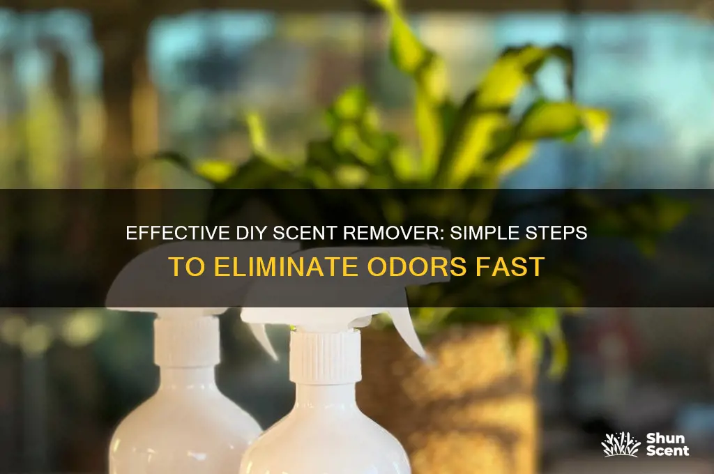 how to make scent remover