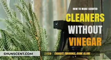 Freshen Your Home: DIY Scented Cleaners Without Vinegar Recipes