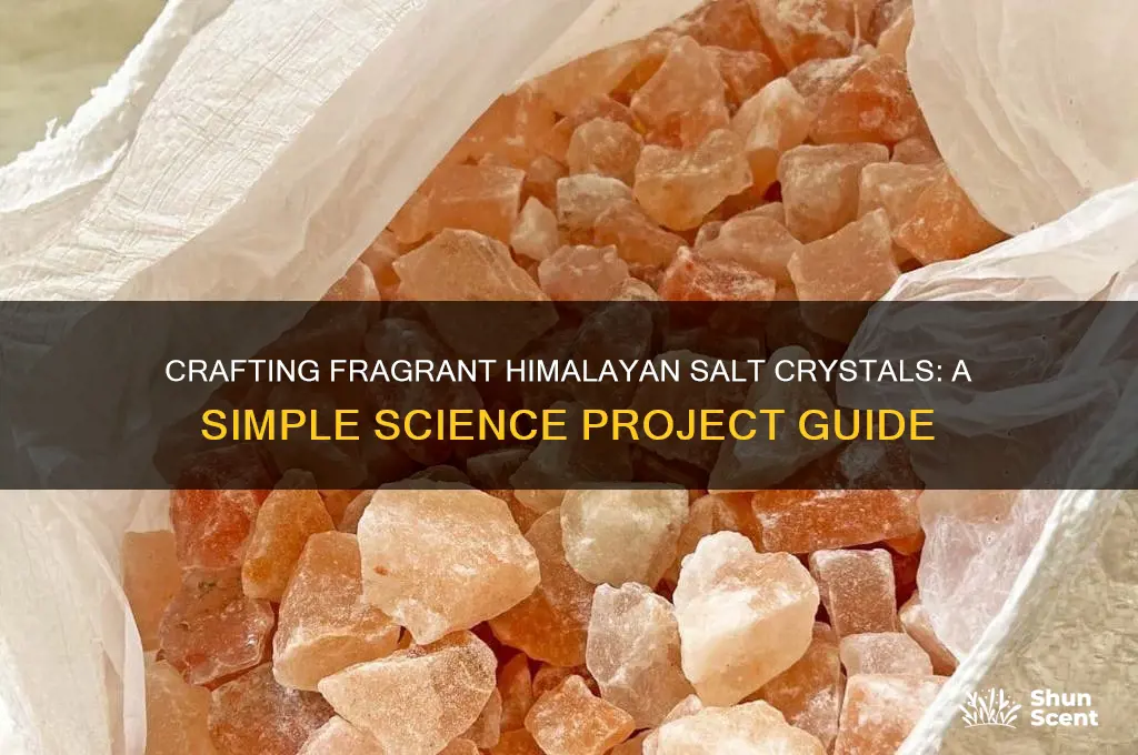 how to make scented himalayan salt crystals science projects