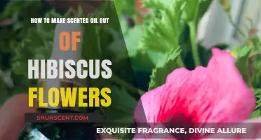 Crafting Hibiscus Scented Oil: A Simple DIY Guide for Beginners