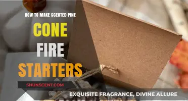 Craft Aromatic Pine Cone Fire Starters for Cozy Winter Evenings