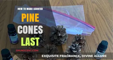 Preserve Pine Cone Scents: Tips for Long-Lasting Fragrant Decor
