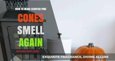 Revive Your Pine Cones: Simple Tips to Restore Their Scent