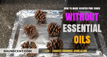 Crafting Fragrant Pine Cones: A Simple, Oil-Free DIY Guide