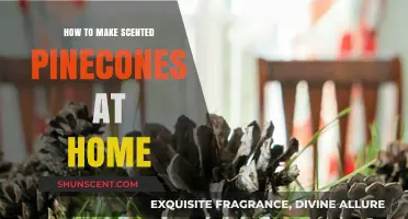 Crafting Fragrant Pinecones: A Simple DIY Home Scenting Guide