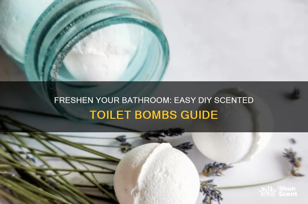 how to make scented toilet bombs