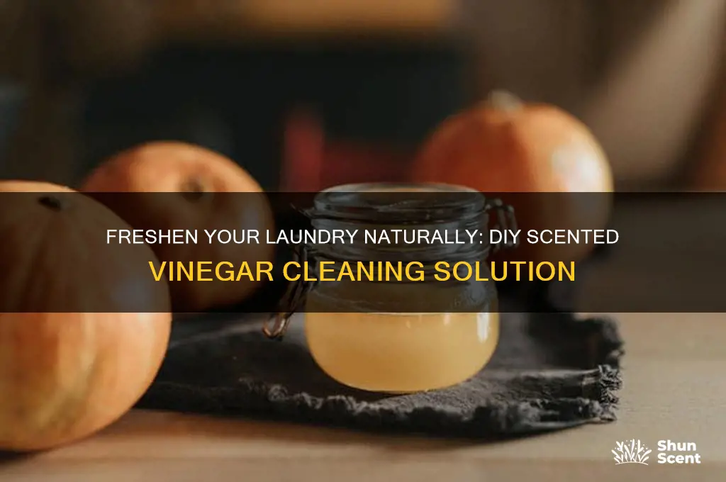 how to make scented vinegar for laundry