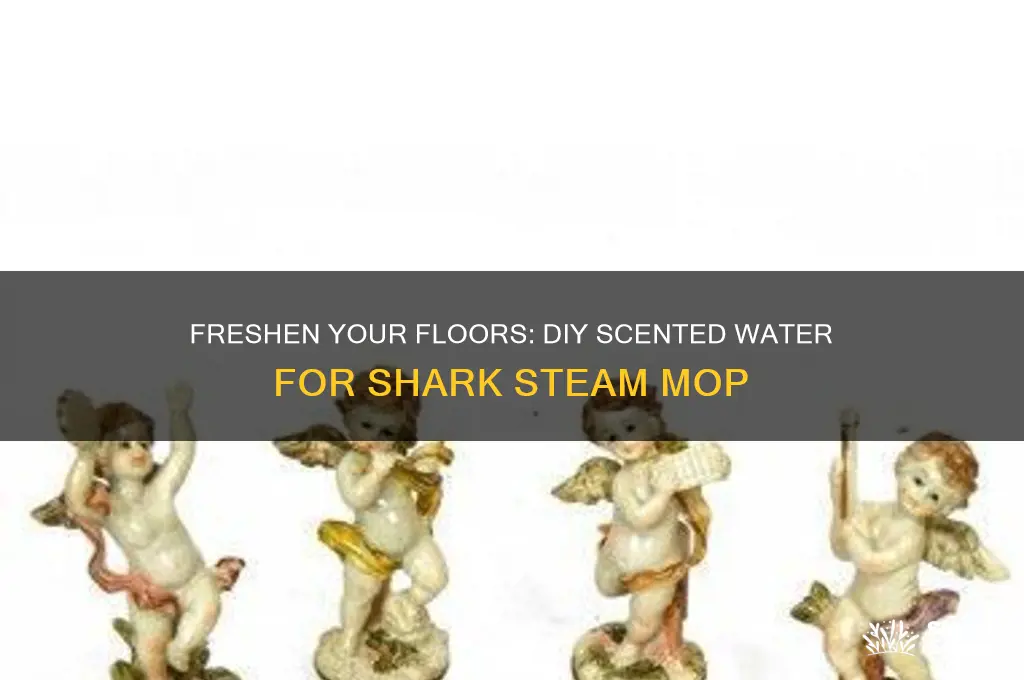how to make scented water for shark steam mop