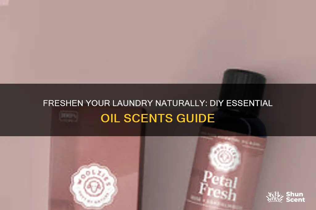 how to make scents for laundry with essential oils