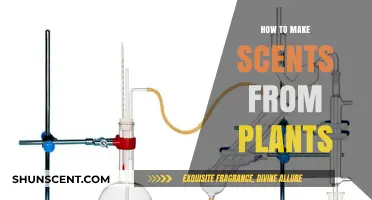 Crafting Natural Fragrances: A Guide to Extracting Scents from Plants