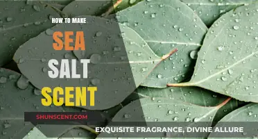 Crafting Coastal Aromas: A Guide to Making Sea Salt Scent