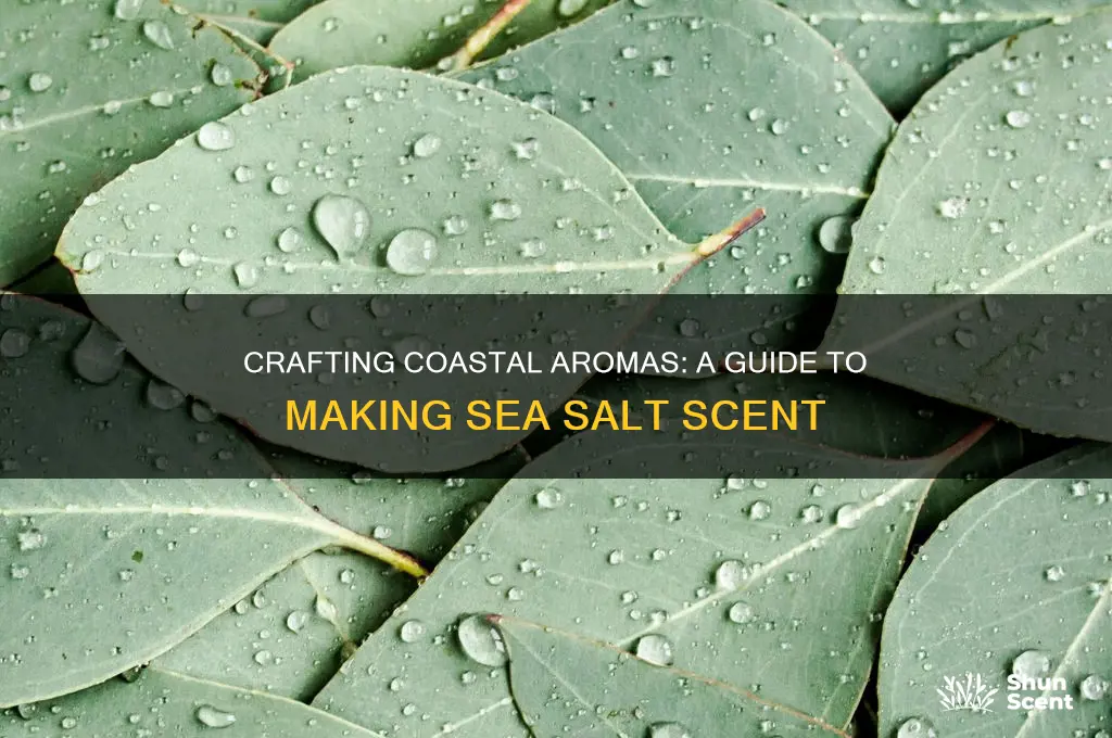 how to make sea salt scent