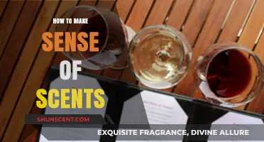 Decoding Aromas: A Beginner's Guide to Understanding Scents and Fragrances