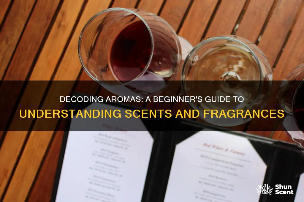 how to make sense of scents