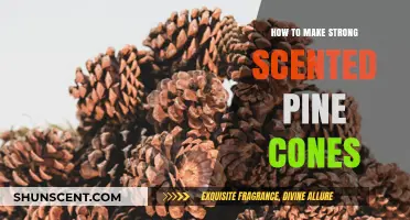 Crafting Fragrant Pine Cones: A Simple Guide to Long-Lasting Scents