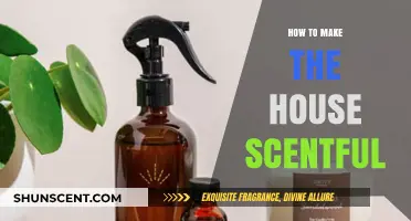 Transform Your Home with These Aromatic Tips for a Scentful House