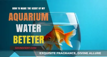 Enhance Your Aquarium's Aroma: Simple Tips for Fresher Water Scent