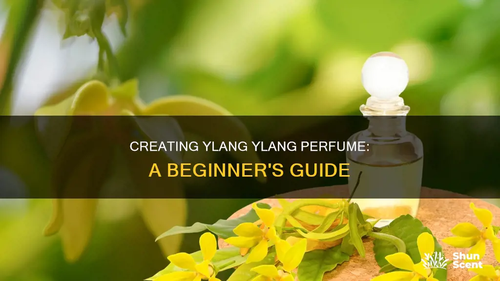 how to make ylang ylang perfume
