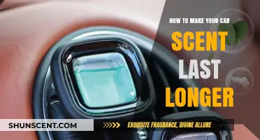 Maximize Your Car's Freshness: Tips for Long-Lasting, Pleasant Scents