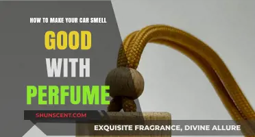 Make Your Car Smell Good: Perfume Tips and Tricks
