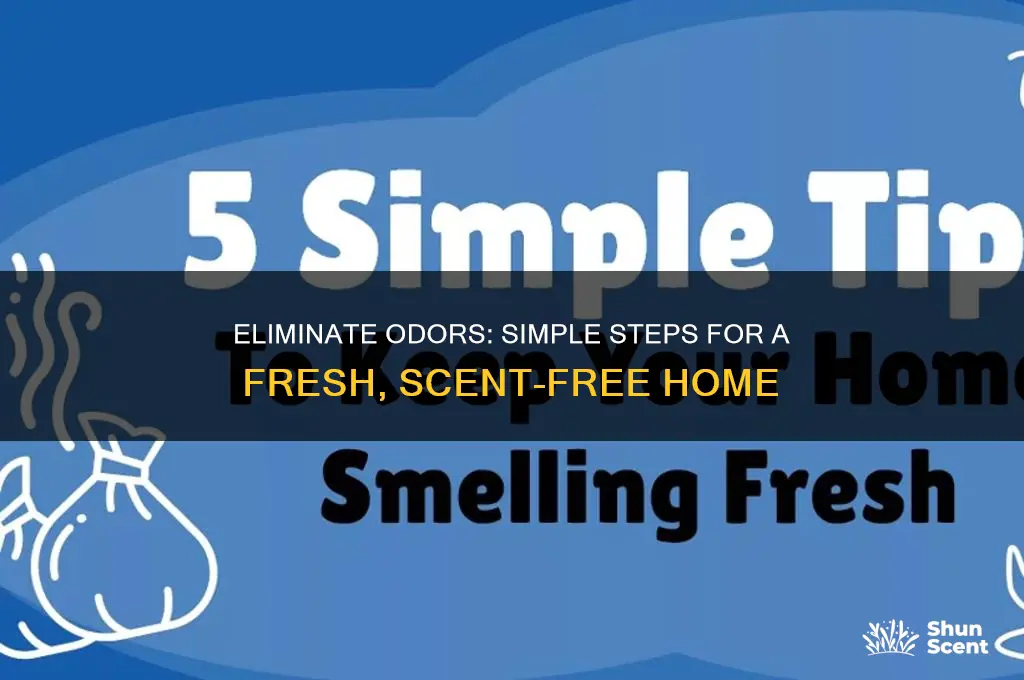 how to make your home scent free