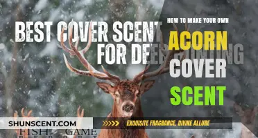 Craft Your Own Acorn Cover Scent for Hunting Success