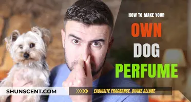 Creating a Dog Perfume: DIY Scented Spray