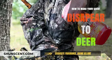 Mastering Stealth: Effective Techniques to Hide Your Scent from Deer