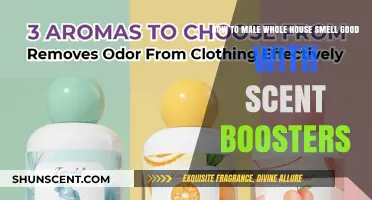 Freshen Your Entire Home: Scent Booster Tips for Lasting Fragrance