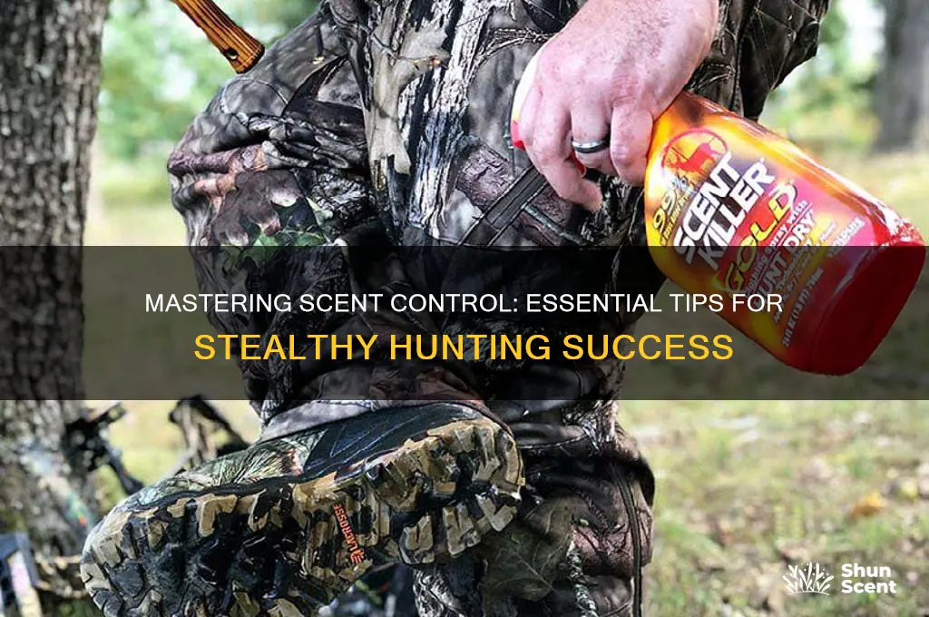 how to manage scent when hunting