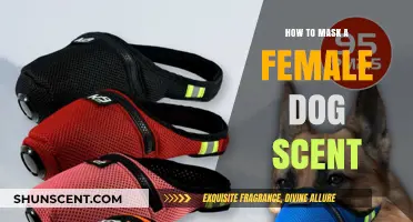 Effective Ways to Mask Your Female Dog's Scent During Heat
