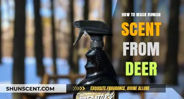 Effective Strategies to Conceal Human Scent and Avoid Deer Detection