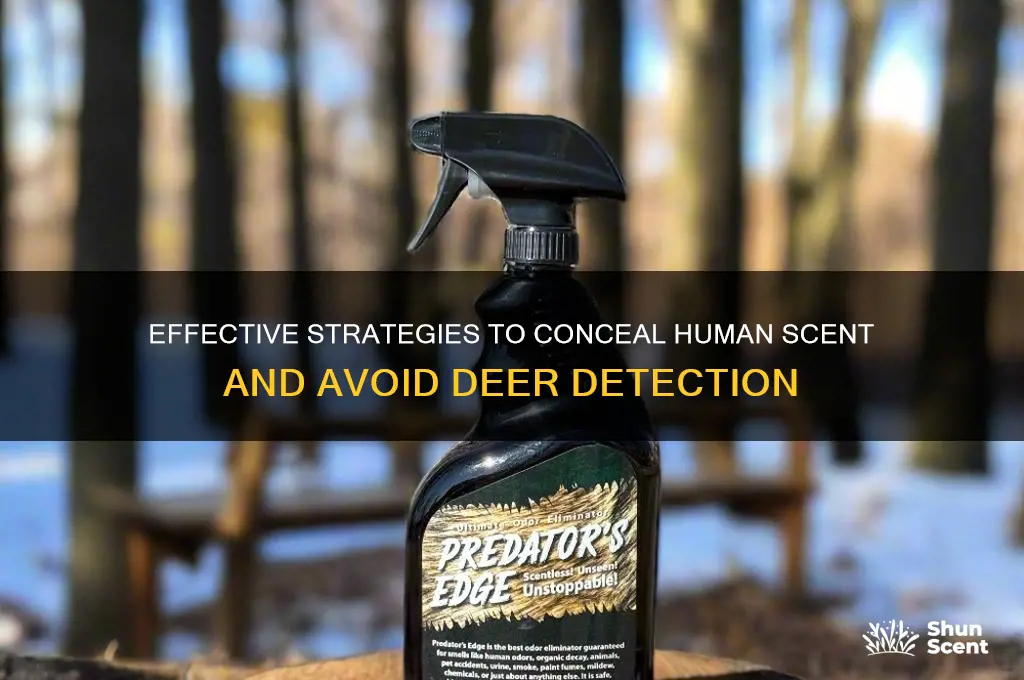 how to mask human scent from deer